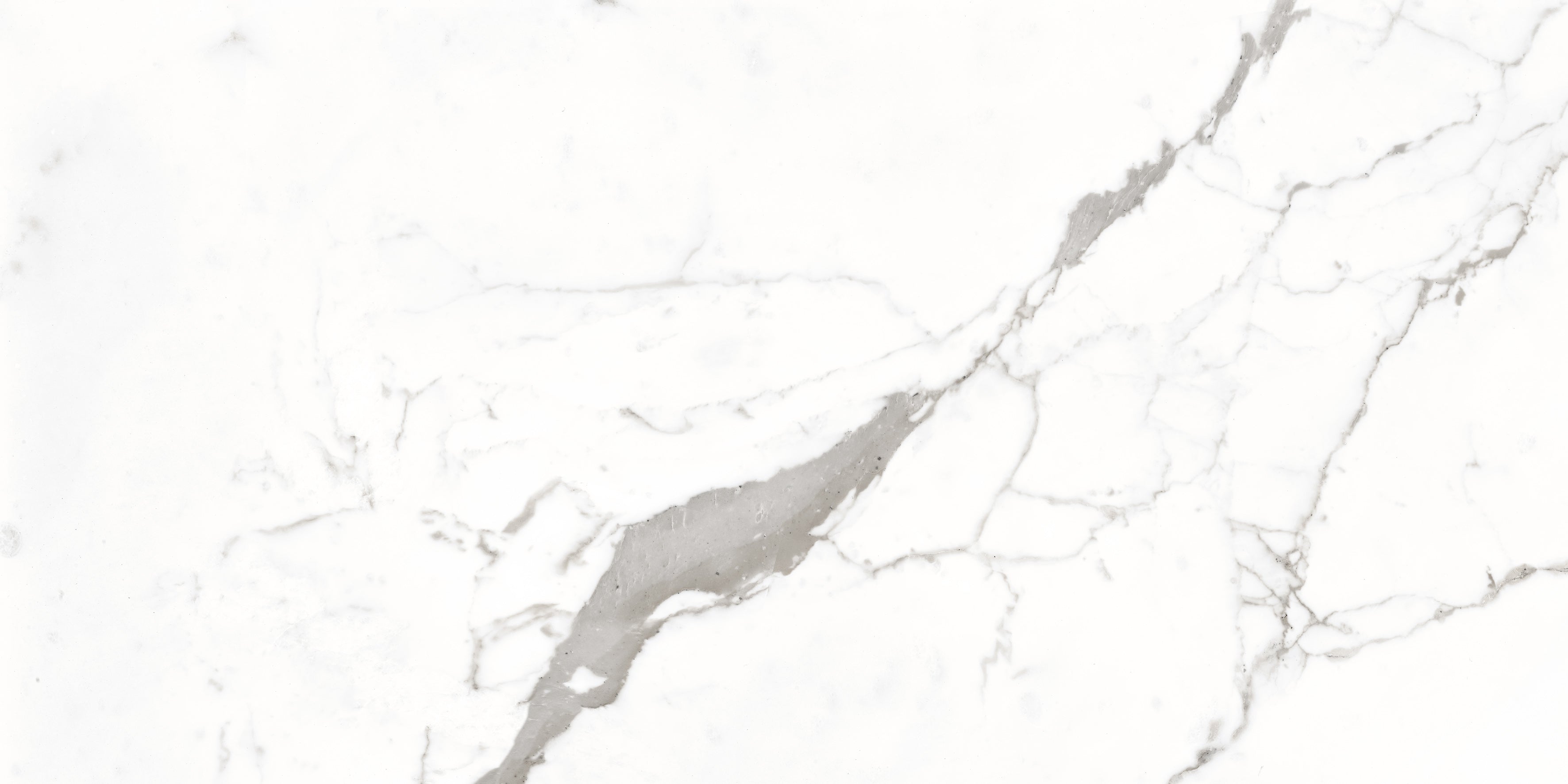 Bodenfliese Satvario Fancy Grey hochglanz 120x60 cm