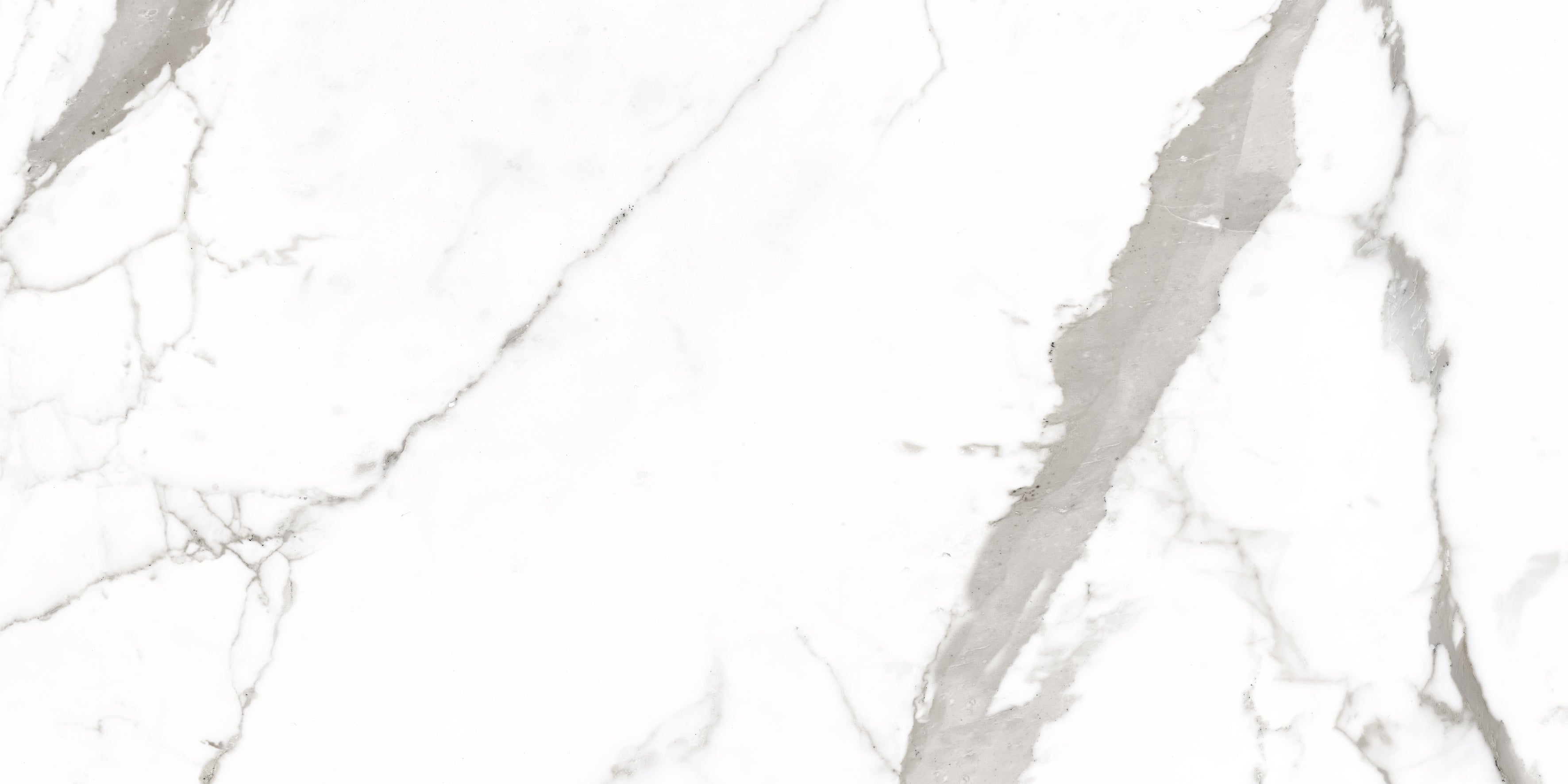 Bodenfliese Satvario Fancy Grey hochglanz 120x60 cm